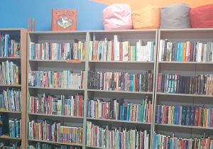 Zdjęcie przedstawia półkę z książkami w bibliotece szkolnej