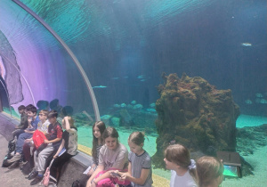 Klasa 4a podczas warsztatów w ZOO