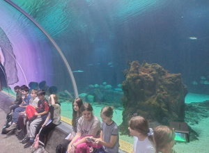 Wizyta w ZOO