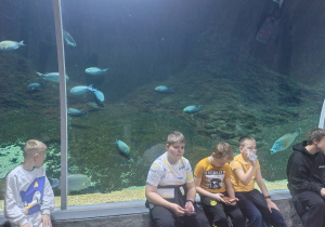 Klasa 4a podczas warsztatów w ZOO