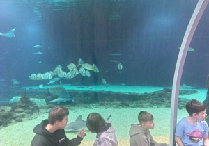 Klasa 4a podczas warsztatów w ZOO